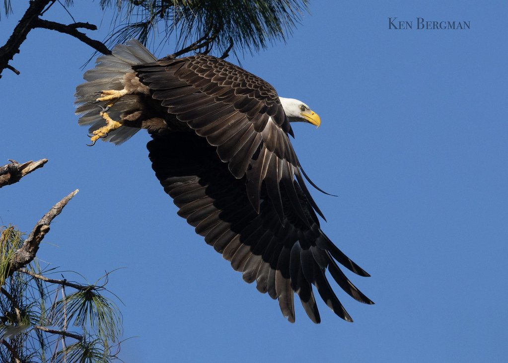 Visit Florida - Photo officielle